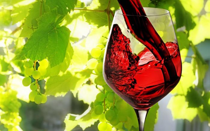 Винотерапия, или В поисках украинского вина