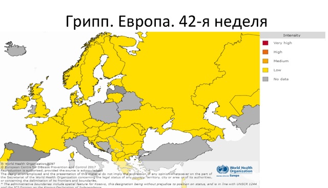 Грипу зараз немає ані в Україні, ані в Європі, ані в Північній півкулі