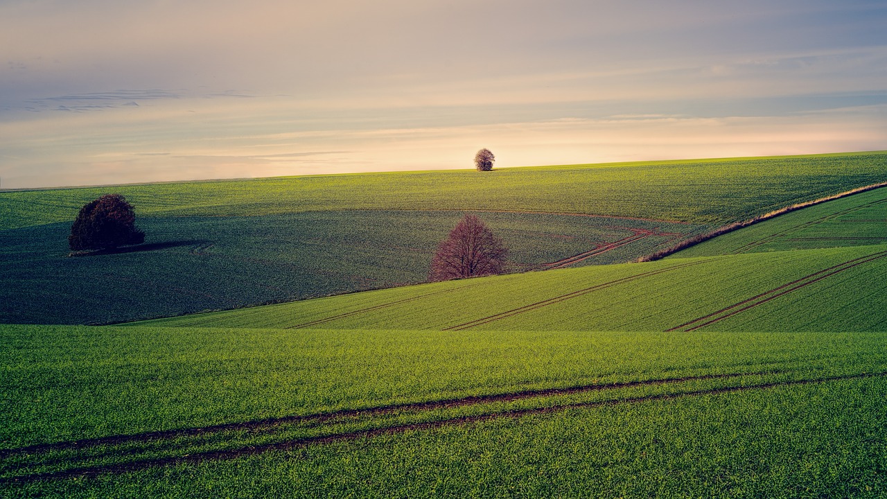 Земля сельскохозяйственного назначения. Фото: Pixabay