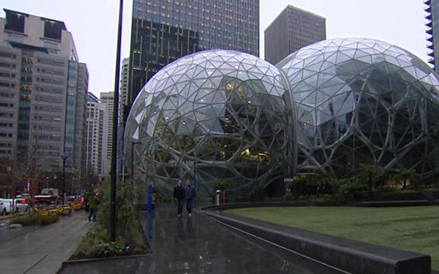 Офис The Spheres в Сиэтле. Фото: CBS News