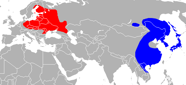 Карта: ареал проживання єнотовидного собаки. wikipedia