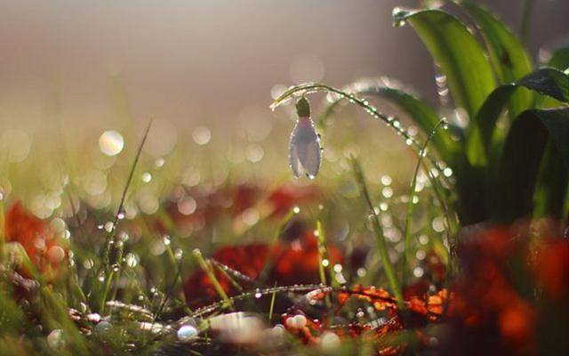 Дождь весной. Фото: Слово и Дело