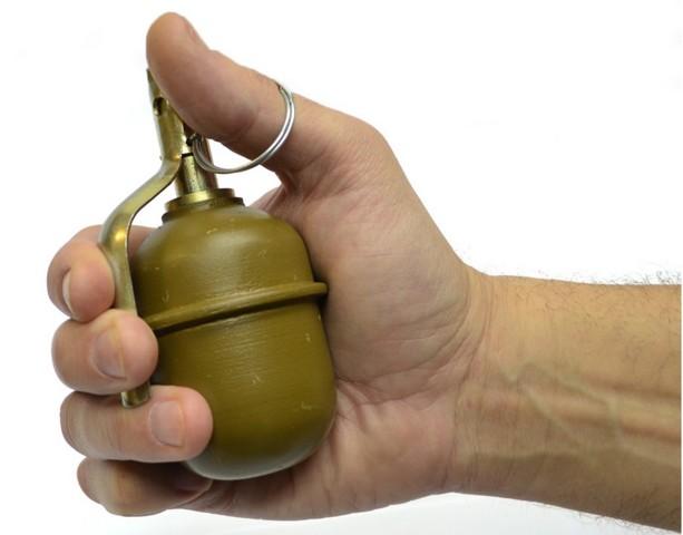 Домашний склад боеприпасов: в Виннице у мужчины изъяли 18 боевых гранат (ФОТО, ВИДЕО)