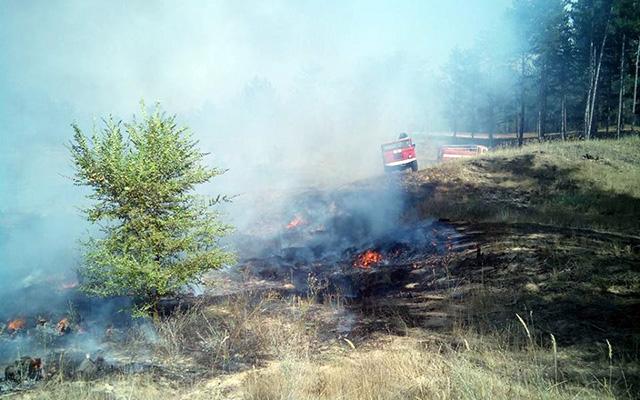 Лесной пожар на Херсонщине. Фото: МВД Украины