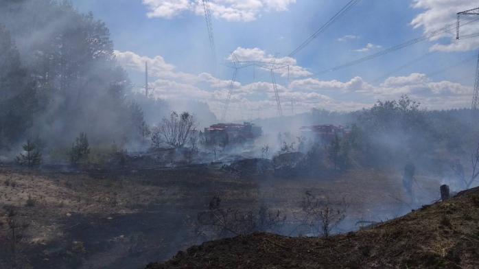 Пожежа поблизу ЧАЕС. Фото: ДСНС