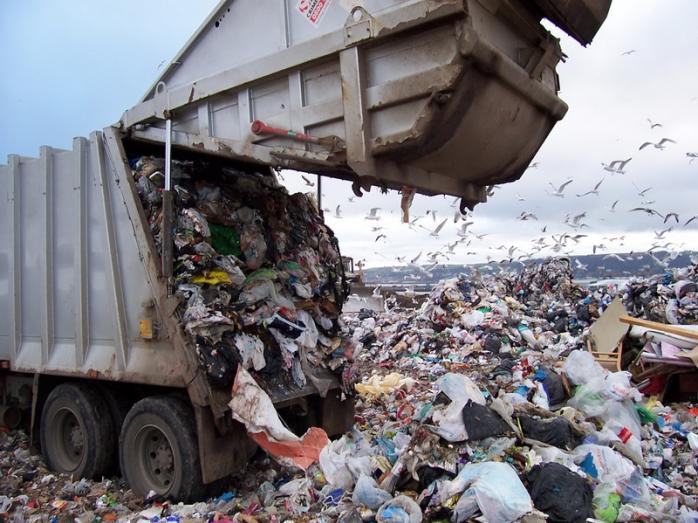 Под Киевом незаконно выбросили 40 тонн львовского мусора — журналист (ФОТО)