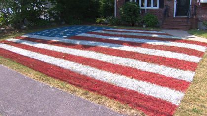 Фото: Владелец дома украсил свой газон в цвет флага США