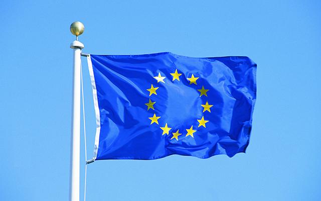 Флаг Евросоюза. Фото: slovami.net
