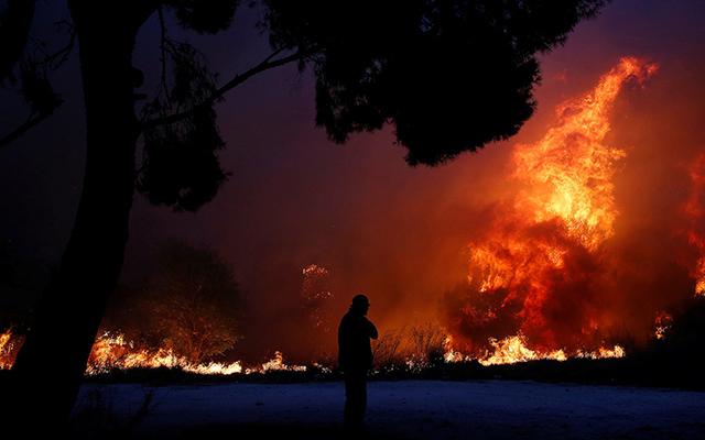 Пожары в Греции. Фото: AP