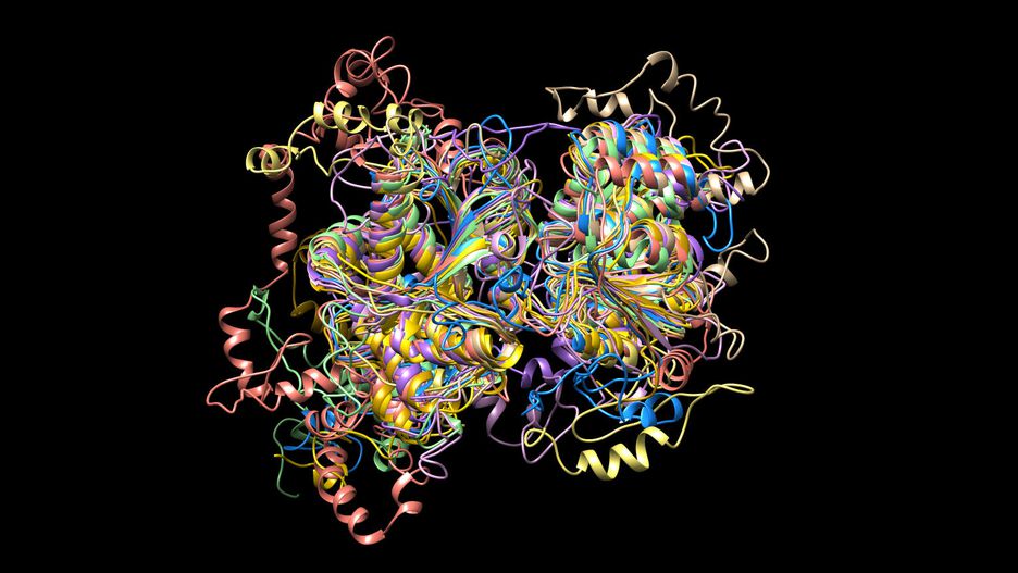 «Гобстоппер», авторы Brendan Ansell, Balu Balan, Aaron Jex. На этом компьютерном рисунке изображены белковые структуры паразита Giardia (лямблии).
