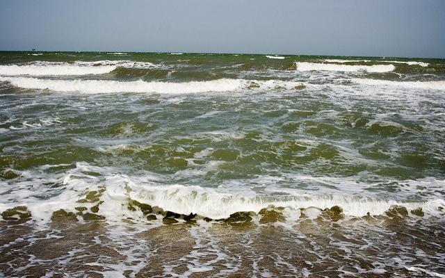 Азовское море. Фото: flickr.com