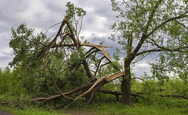 Последствия урагана. Фото: flickr.com