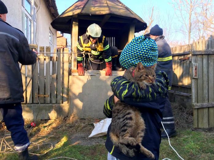В колодец ради Барсика: спецоперацию по спасению рябого кота провели на Закарпатье. Фото: ГСЧС