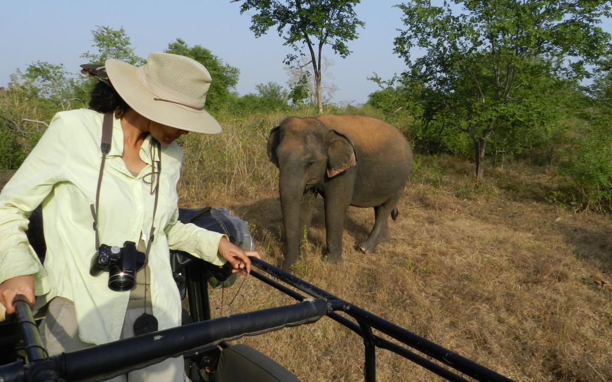 Шермін де Сільва займається захистом азійських слонів, фото: Shermin de Silva