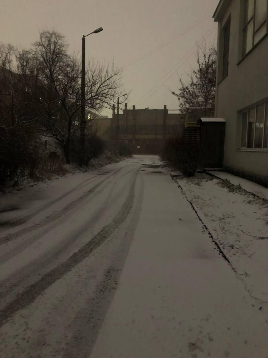 Сніг у Києві. Фото: Facebook