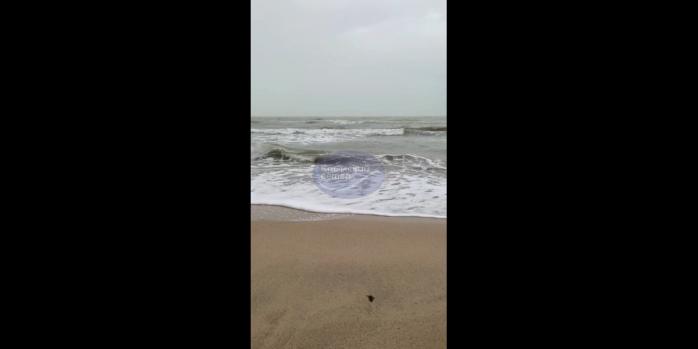 В Крыму – мощный шторм, скриншот видео
