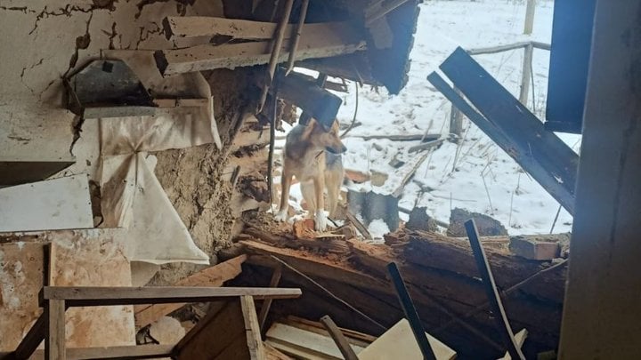 Наслідки обстрілу села Степок на Сумщині. Фото: «Суспільне»