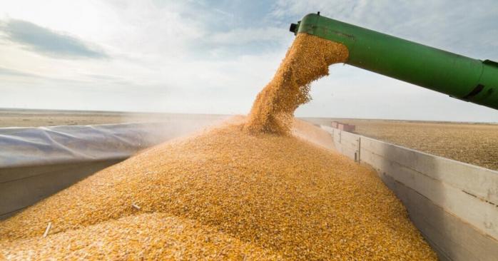 Мита на імпорт зерна з рф та Білорусі запровадить Євросоюз. Фото: 
