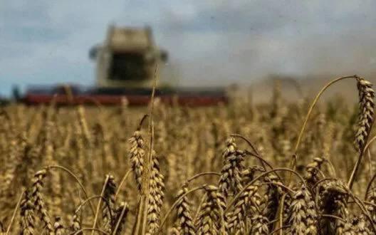 Країни Балтії, Польща та Чехія вимагають заборонити імпорт "краденого" в Україні зерна з білорусі та рф
