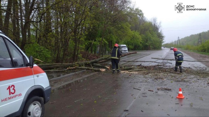 Наслідки погіршення погодних умов в Україні, фото: ДСНС