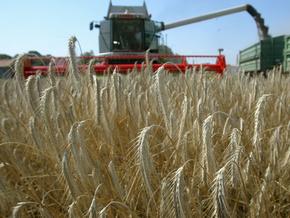 Аграрии Донецкой и Луганской областей просят создать коридор для вывоза урожая