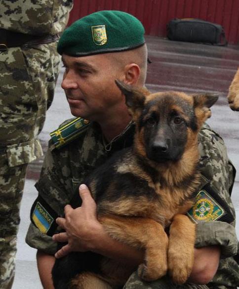 Прикордонникам Донбасу подарували службових собак (ФОТО)