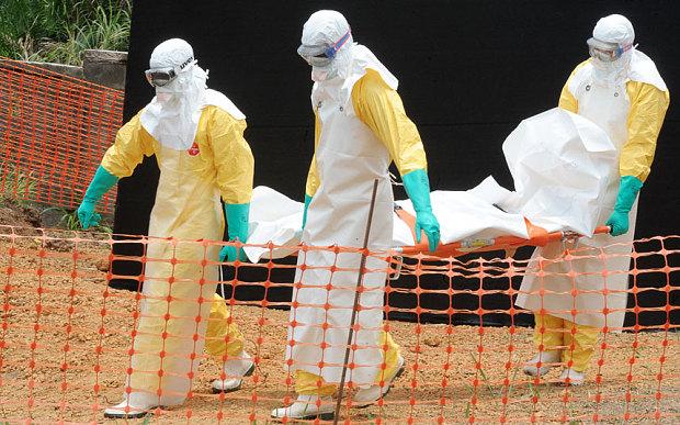 Дослідники встановили «нульового пацієнта» лихоманки Ебола