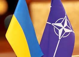 ЦИК принял документы с требованием провести референдум по НАТО