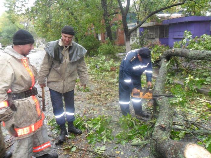 Негода знеструмила 335 населених пунктів у Запорізькій області