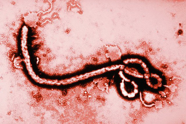 ЕС увеличит до 1 млрд евро финпомощь для борьбы с Эболой
