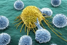 Ученые установили, как раковые клетки заражают здоровые