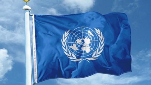 Россия заблокировала проукраинское заявление главы Совета безопасности ООН — МИД