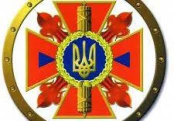 Гуманитарная помощь доставлена в Красногоровку Донецкой области — ГСЧС