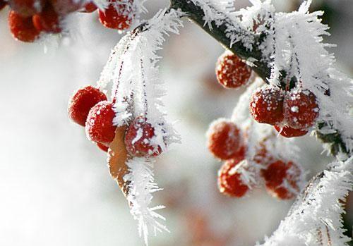 Гидрометцентр обещает завтра в восточной Украине ночные морозы до −25