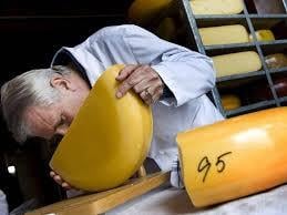 Россия запретила импорт польского сыра