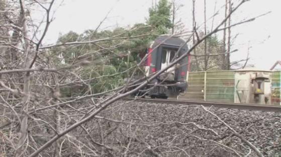 На Німеччину налетів ураган: паралізовано залізницю, вітер викорчовує дерева (ФОТО)