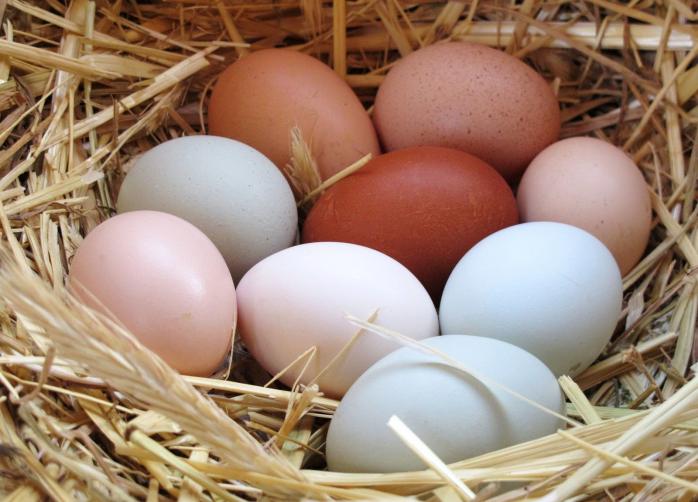Від діабету захистять курячі яйця