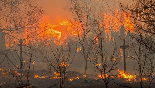 У Росії вже майже 1,1 тис. потерпілих від пожеж — ЗМІ
