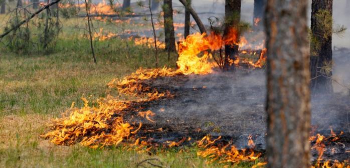 Яценюк скликав комісію з надзвичайних ситуацій через пожежу біля Чорнобиля