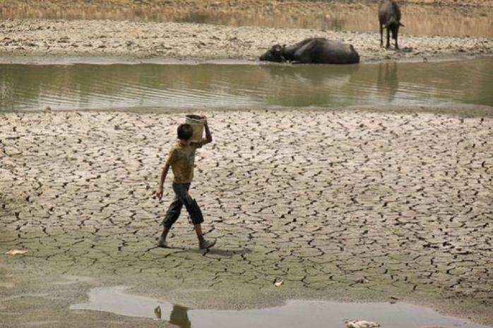 В Индии от аномальной жары погибли более трех сотен человек