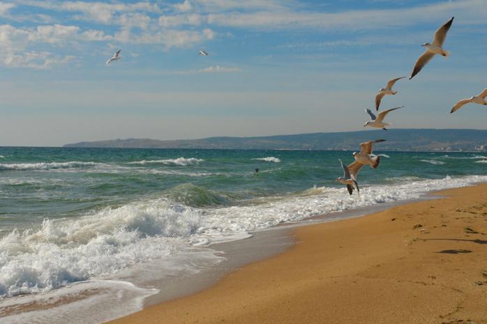 У Криму за рік окупації зникло майже 90 пляжів