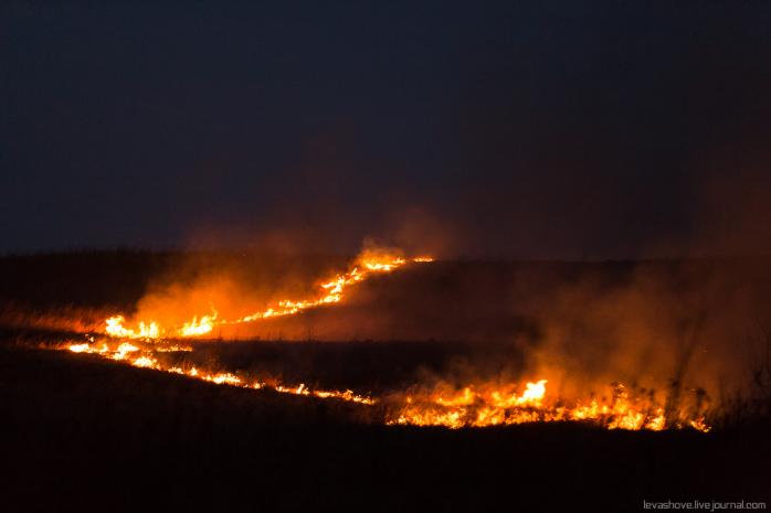 Пожежа у Чорнобильській зоні: горить 130 гектарів трави