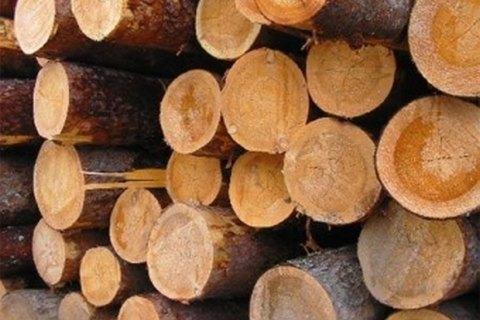 Порошенко подписал закон о моратории на экспорт леса