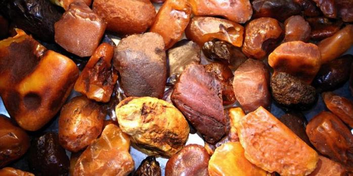 На Закарпатье налоговики изъяли 80 кг янтаря на 5 млн грн