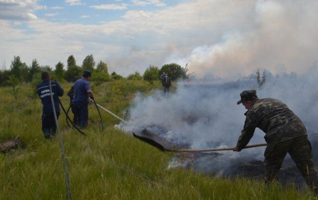 У Київській області продовжують горіти хвойні ліси