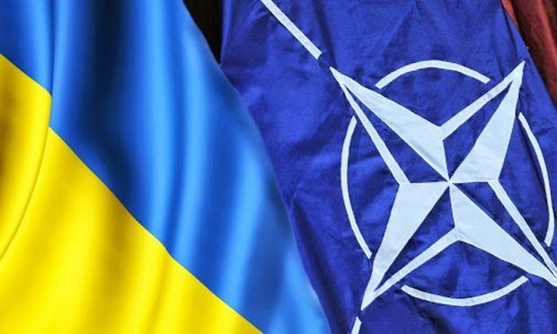 Яценюк: Цель Украины — членство в НАТО