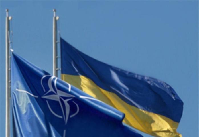 Україна відновить участь у військовій програмі НАТО