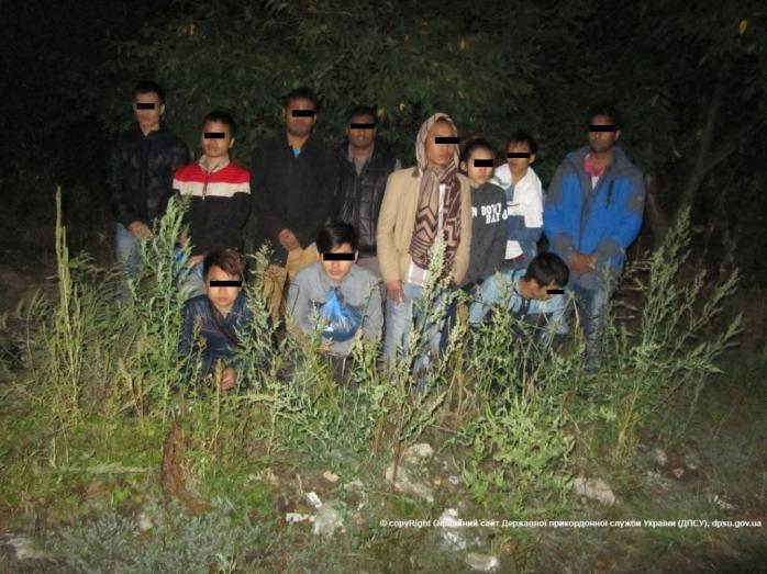 На Закарпатье пограничники задержали группу нелегальных мигрантов
