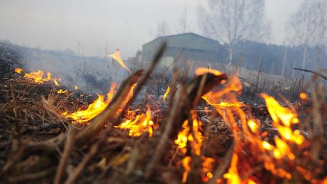 Близ Мариуполя обнаружили обгоревшее тело бойца «Донбасса»