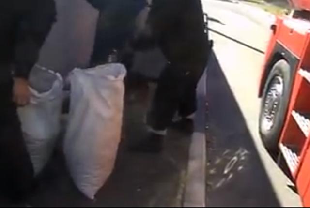 Прикордонники попередили вивіз 100 кг бурштину у Волинській області (ВІДЕО)